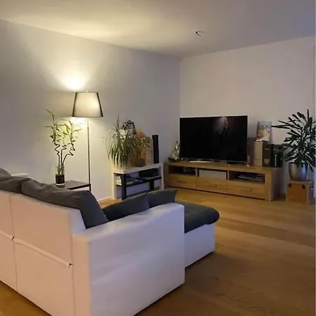 Apartment Moderno Con Balcone Vista Fiume E Monte Jungfrau